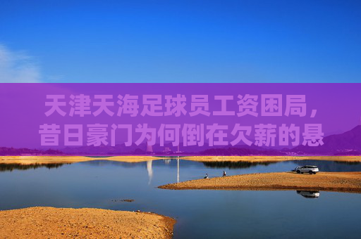 天津天海足球员工资困局，昔日豪门为何倒在欠薪的悬崖边？