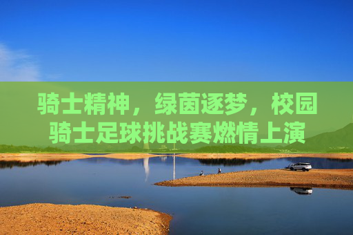 骑士精神,绿茵逐梦,校园骑士足球挑战赛燃情上演