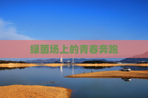 绿茵场上的青春奔跑