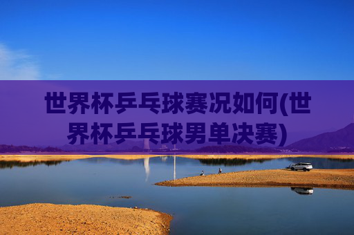 世界杯乒乓球赛况如何(世界杯乒乓球男单决赛)