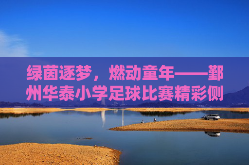 绿茵逐梦，燃动童年——鄞州华泰小学足球比赛精彩侧记