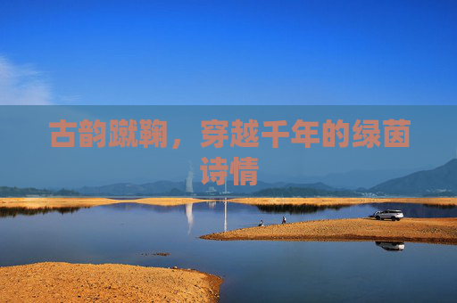 古韵蹴鞠，穿越千年的绿茵诗情