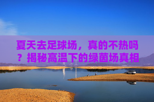 夏天去足球场，真的不热吗？揭秘高温下的绿茵场真相