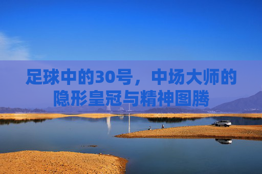 足球中的30号，中场大师的隐形皇冠与精神图腾