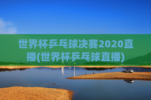 世界杯乒乓球决赛2020直播(世界杯乒乓球直播)