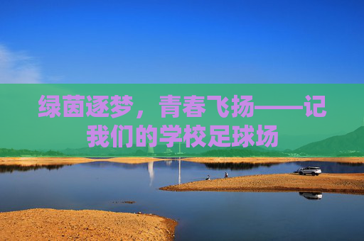 绿茵逐梦，青春飞扬——记我们的学校足球场