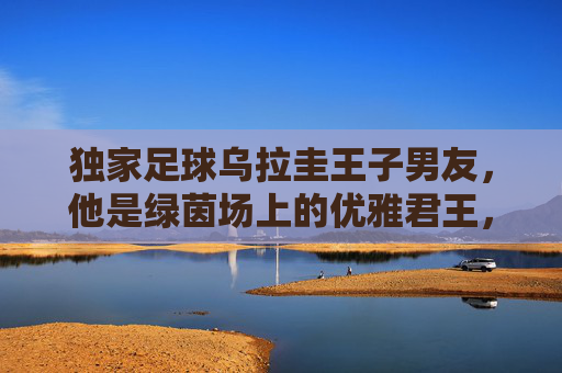 独家足球乌拉圭王子男友，他是绿茵场上的优雅君王，也是你身边的温柔守护者