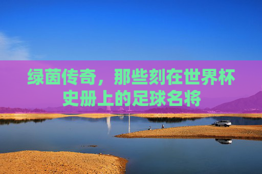 绿茵传奇，那些刻在世界杯史册上的足球名将