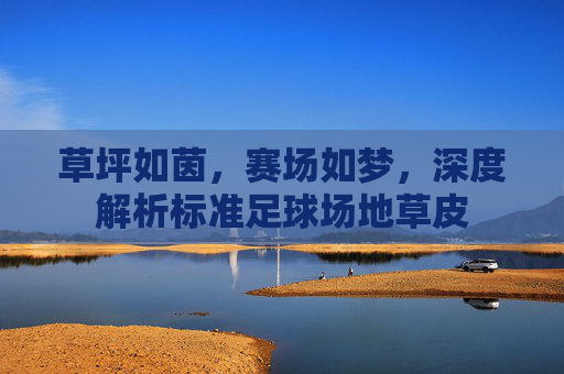草坪如茵，赛场如梦，深度解析标准足球场地草皮