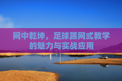 网中乾坤,足球踢网式教学的魅力与实战应用