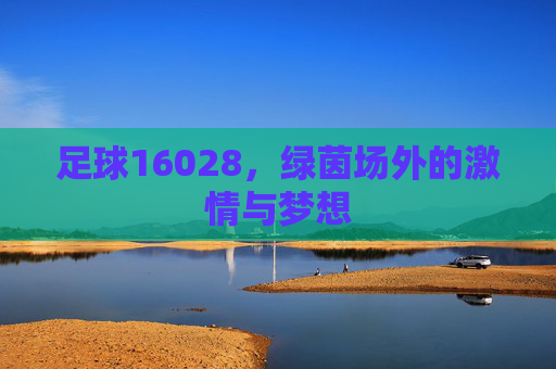 足球16028，绿茵场外的激情与梦想