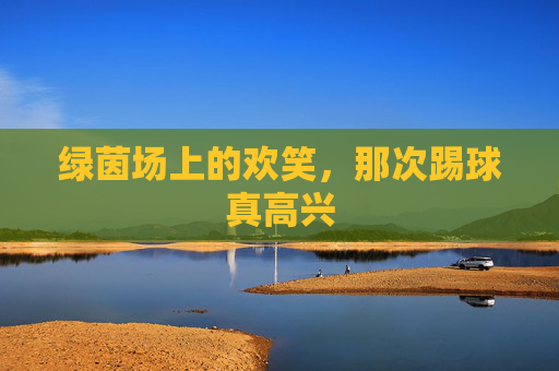 绿茵场上的欢笑,那次踢球真高兴