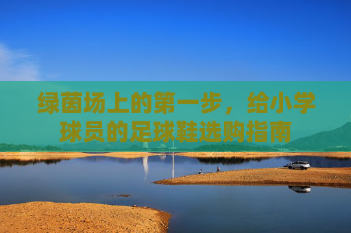 绿茵场上的第一步，给小学球员的足球鞋选购指南