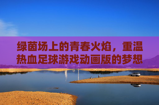 绿茵场上的青春火焰，重温热血足球游戏动画版的梦想与奇迹