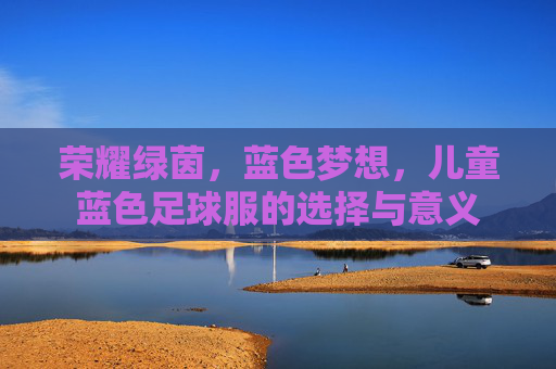 荣耀绿茵，蓝色梦想，儿童蓝色足球服的选择与意义