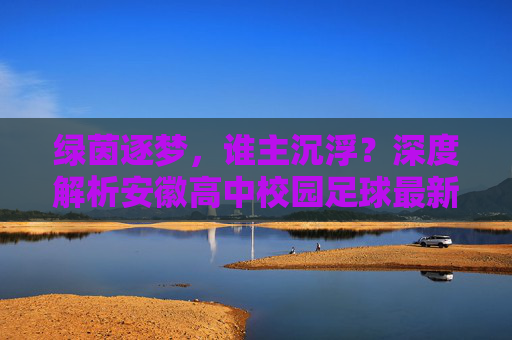 绿茵逐梦，谁主沉浮？深度解析安徽高中校园足球最新排名