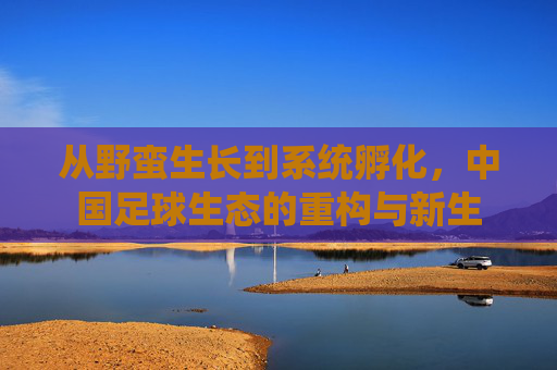 从野蛮生长到系统孵化，中国足球生态的重构与新生