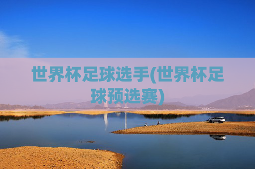 世界杯足球选手(世界杯足球预选赛)
