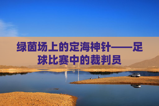 绿茵场上的定海神针——足球比赛中的裁判员