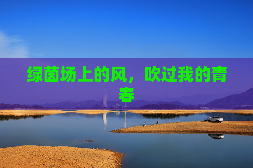 绿茵场上的风,吹过我的青春