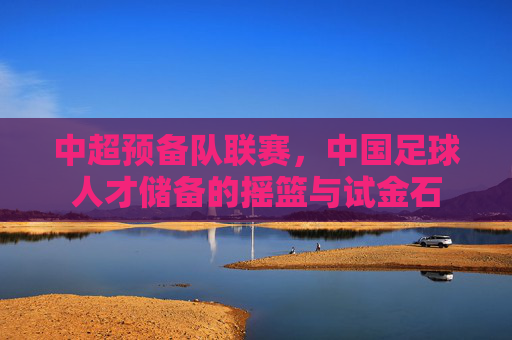 中超预备队联赛,中国足球人才储备的摇篮与试金石