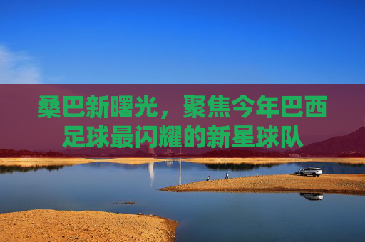 桑巴新曙光，聚焦今年巴西足球最闪耀的新星球队
