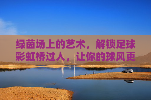 绿茵场上的艺术,解锁足球彩虹桥过人,让你的球风更具观赏性