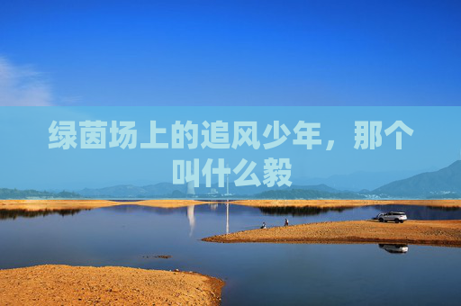 绿茵场上的追风少年，那个叫什么毅