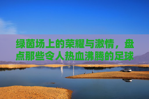绿茵场上的荣耀与激情，盘点那些令人热血沸腾的足球赛游戏名字