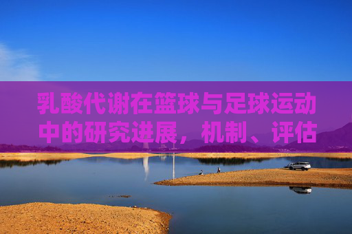 乳酸代谢在篮球与足球运动中的研究进展，机制、评估与应用