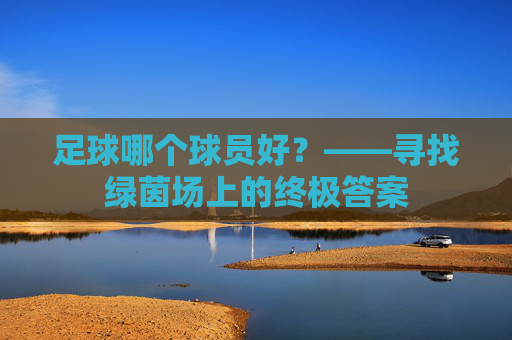 足球哪个球员好？——寻找绿茵场上的终极答案