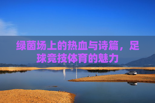 绿茵场上的热血与诗篇，足球竞技体育的魅力
