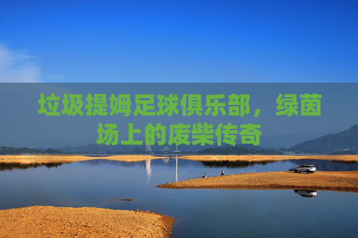 垃圾提姆足球俱乐部,绿茵场上的废柴传奇