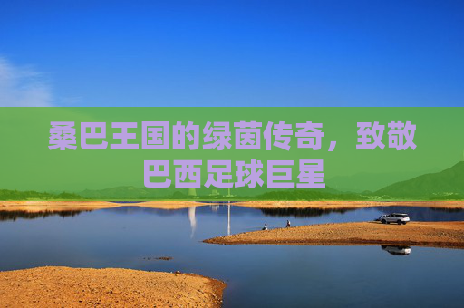 桑巴王国的绿茵传奇，致敬巴西足球巨星