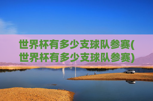 世界杯有多少支球队参赛(世界杯有多少支球队参赛)