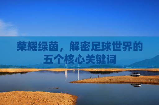 荣耀绿茵，解密足球世界的五个核心关键词