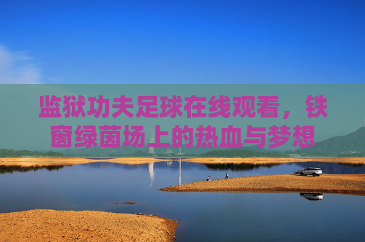 监狱功夫足球在线观看,铁窗绿茵场上的热血与梦想