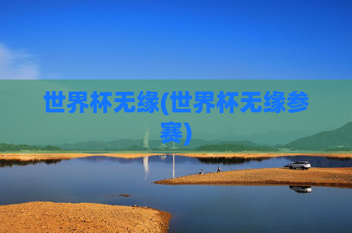 世界杯无缘(世界杯无缘参赛)