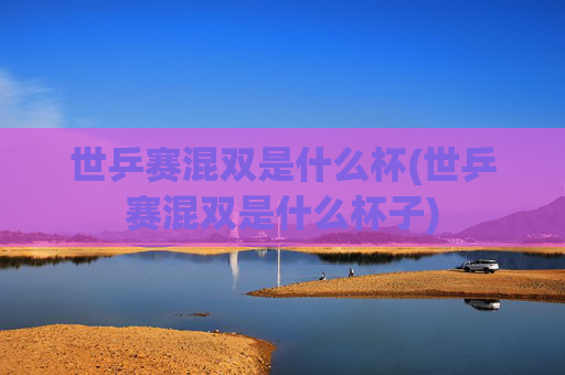 世乒赛混双是什么杯(世乒赛混双是什么杯子)