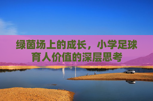 绿茵场上的成长，小学足球育人价值的深层思考