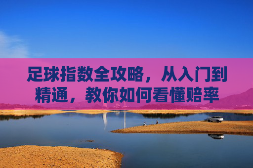 足球指数全攻略，从入门到精通，教你如何看懂赔率