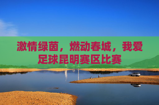 激情绿茵，燃动春城，我爱足球昆明赛区比赛