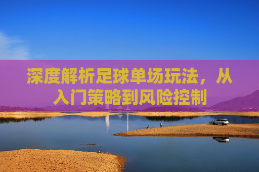 深度解析足球单场玩法，从入门策略到风险控制