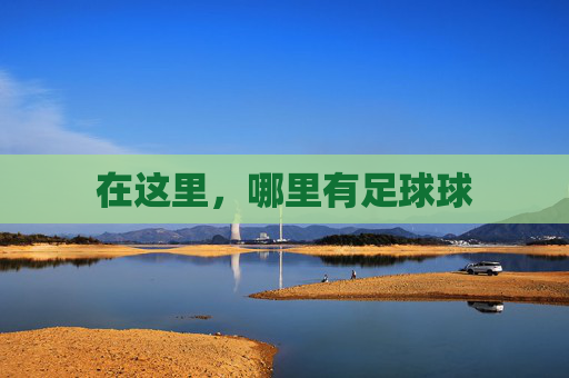 在这里，哪里有足球球