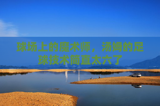 球场上的魔术师，汤姆的足球技术简直太六了