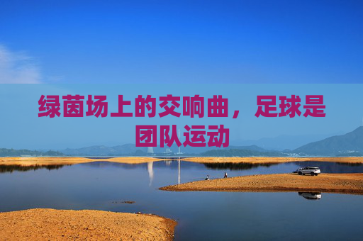 绿茵场上的交响曲，足球是团队运动