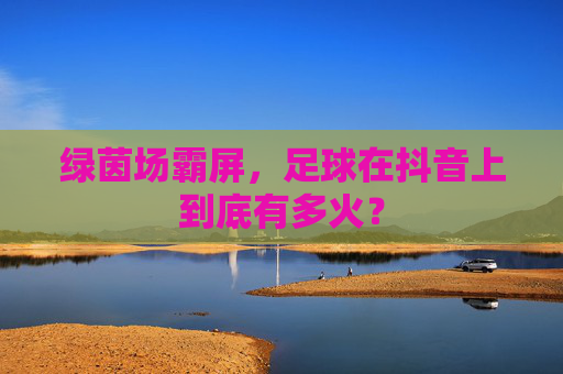 绿茵场霸屏，足球在抖音上到底有多火？