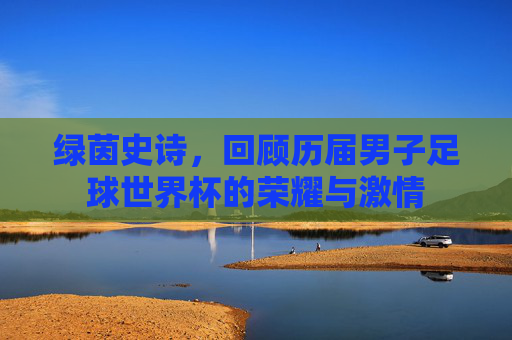 绿茵史诗，回顾历届男子足球世界杯的荣耀与激情