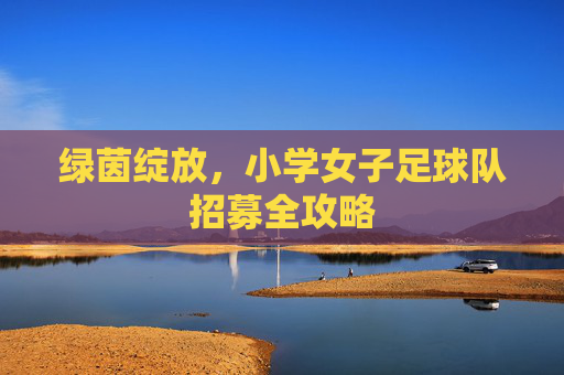 绿茵绽放，小学女子足球队招募全攻略