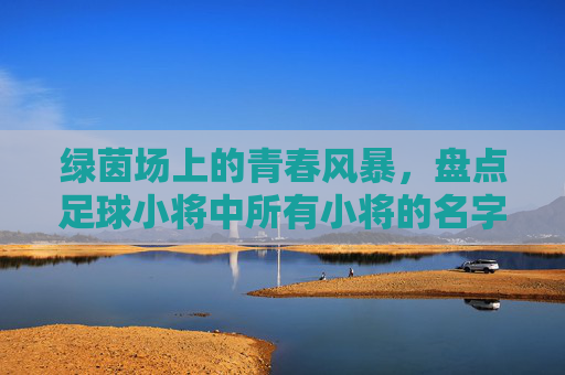 绿茵场上的青春风暴，盘点足球小将中所有小将的名字与传奇